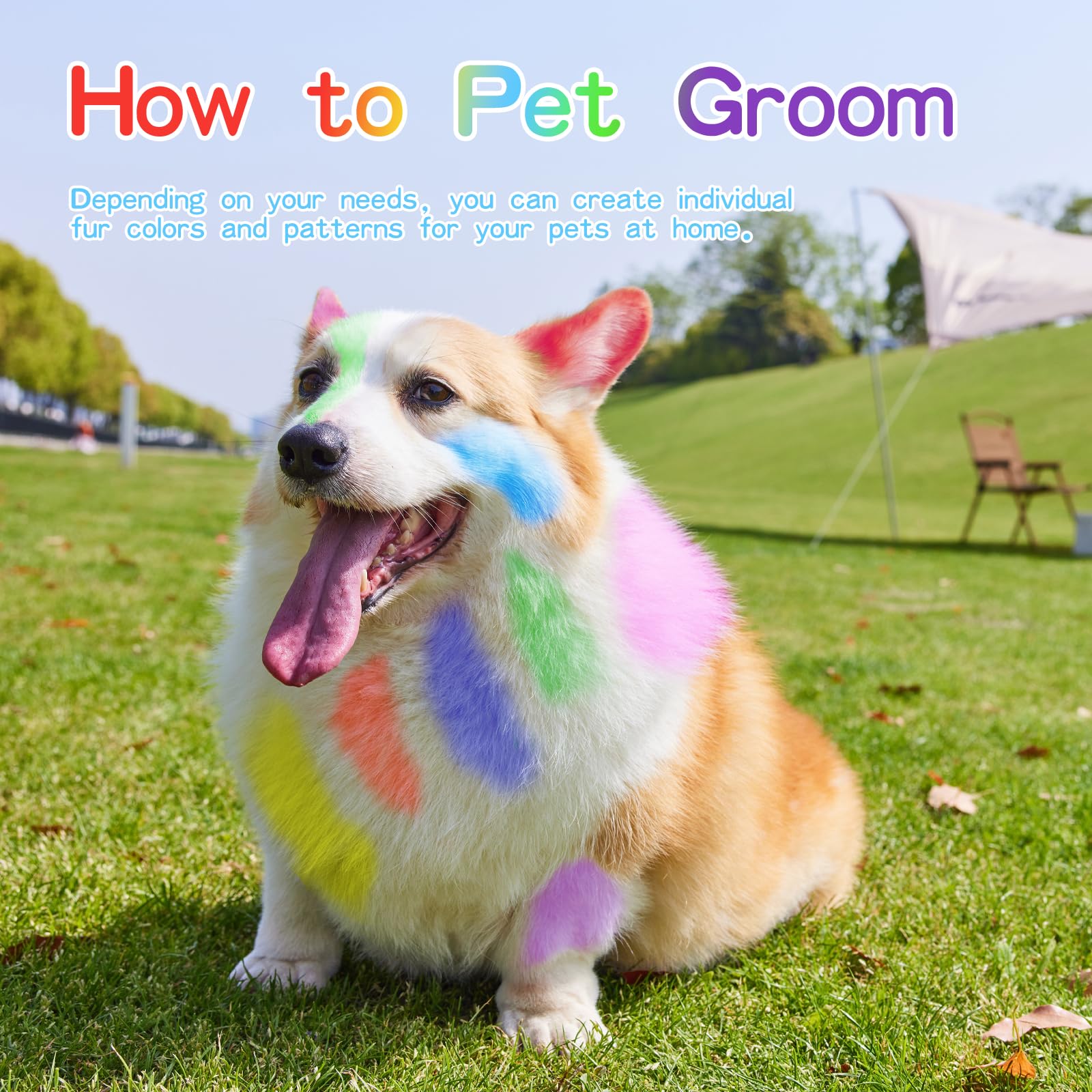 12 Pack Dog Hair Color Dye Temporary Non-Toxic Vibrant Colors Washable Pet Safe Paint For Dog Cat Animals